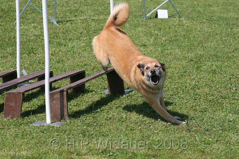 jubil.lusten. 319.jpg